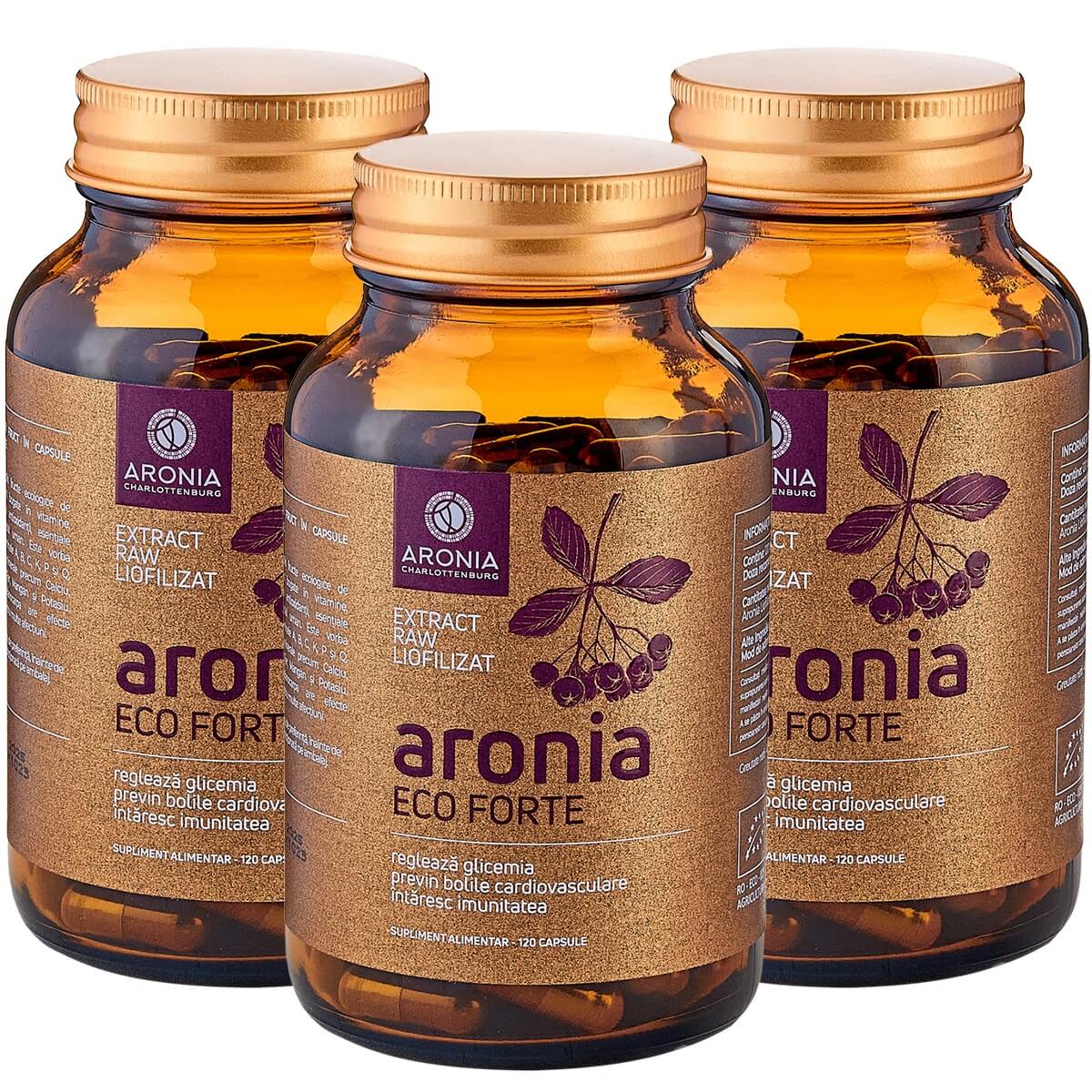 PROMO 3 flacoane Aronia Forte 120 capsule ECO pentru imunitate şi detoxifiere